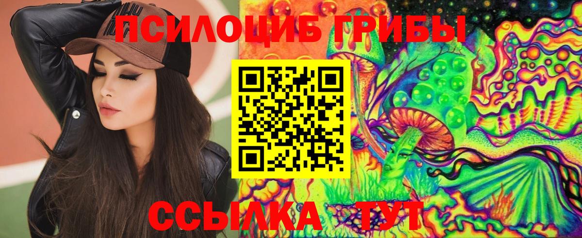 Галлюциногенные грибы Psilocybine cubensis Красный Сулин
